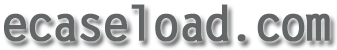 ecaseload.com
